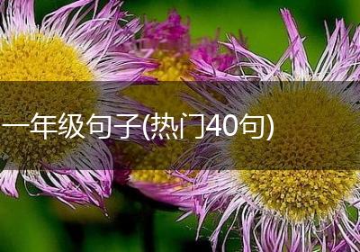 一年级句子(热门40句)