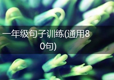 一年级句子训练(通用80句)