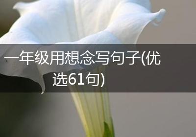 一年级用想念写句子(优选61句)