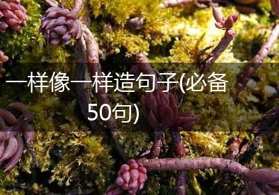 一样像一样造句子(必备50句)
