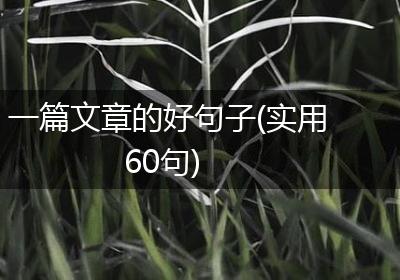 一篇文章的好句子(实用60句)
