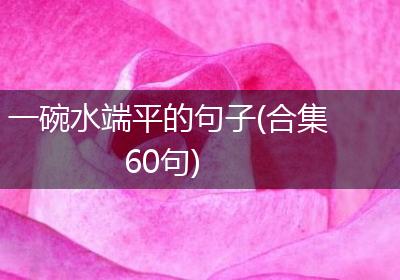 一碗水端平的句子(合集60句)