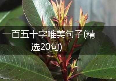 一百五十字唯美句子(精选20句)