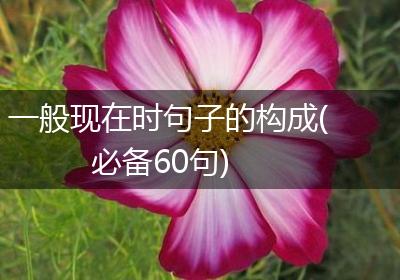 一般现在时句子的构成(必备60句)