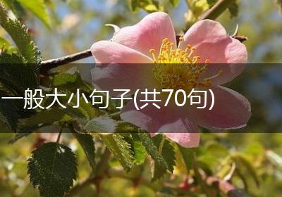 一般大小句子(共70句)