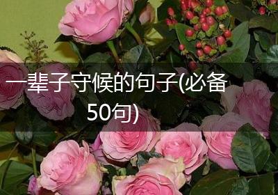 一辈子守候的句子(必备50句)