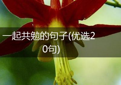一起共勉的句子(优选20句)