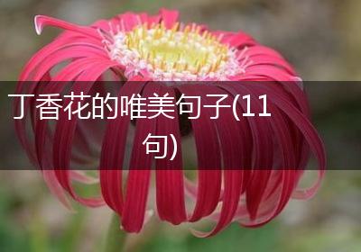 丁香花的唯美句子(11句)