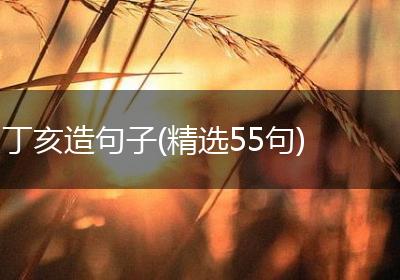 丁亥造句子(精选55句)