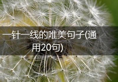 一针一线的唯美句子(通用20句)