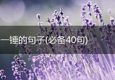 一锤的句子(必备40句)