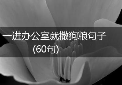 一进办公室就撒狗粮句子(60句)