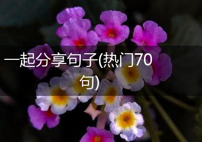一起分享句子(热门70句)