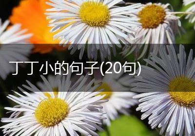 丁丁小的句子(20句)