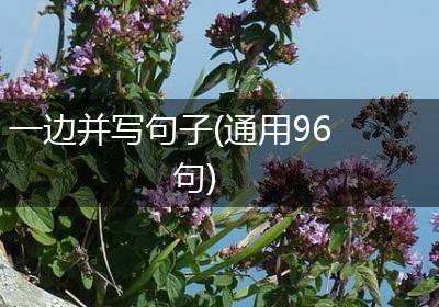 一边并写句子(通用96句)