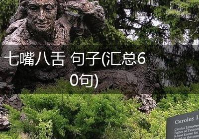 七嘴八舌 句子(汇总60句)