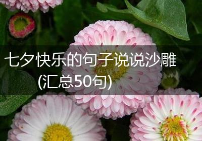 七夕快乐的句子说说沙雕(汇总50句)