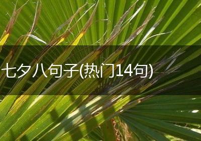 七夕八句子(热门14句)