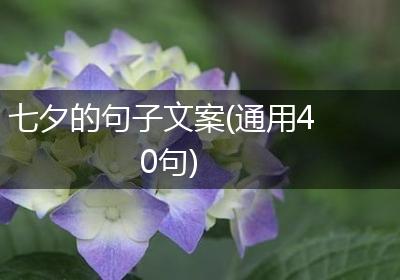 七夕的句子文案(通用40句)