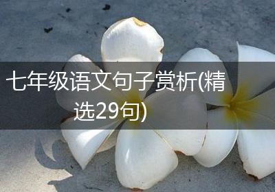 七年级语文句子赏析(精选29句)