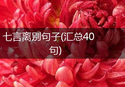 七言离别句子(汇总40句)