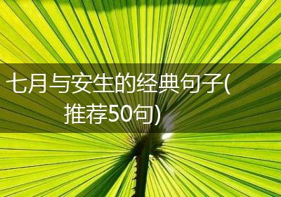 七月与安生的经典句子(推荐50句)