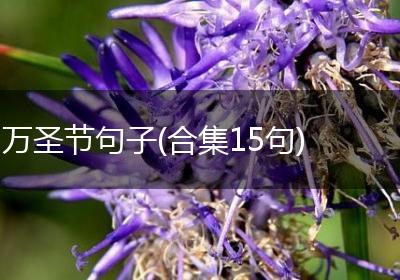 万圣节句子(合集15句)