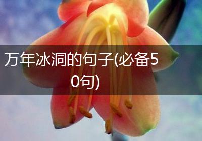 万年冰洞的句子(必备50句)