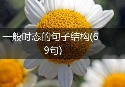 一般时态的句子结构(69句)