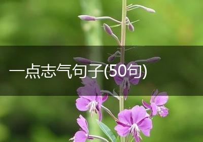 一点志气句子(50句)