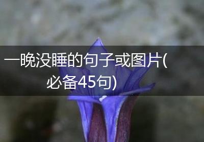 一晚没睡的句子或图片(必备45句)