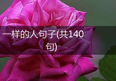一样的人句子(共140句)