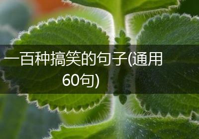 一百种搞笑的句子(通用60句)