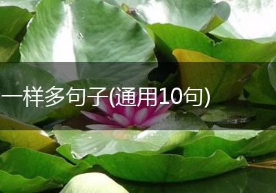 一样多句子(通用10句)