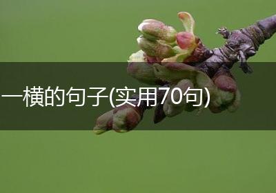 一横的句子(实用70句)