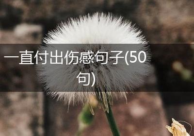 一直付出伤感句子(50句)