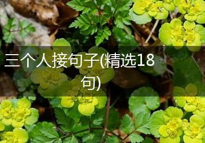 三个人接句子(精选18句)