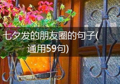 七夕发的朋友圈的句子(通用59句)