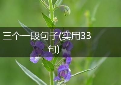三个一段句子(实用33句)