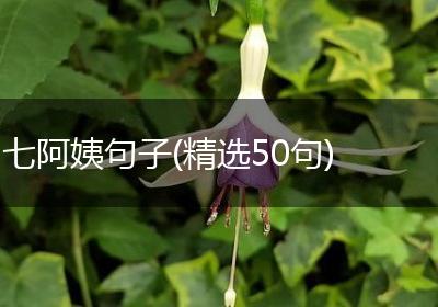 七阿姨句子(精选50句)