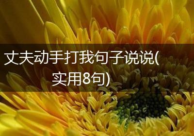 丈夫动手打我句子说说(实用8句)