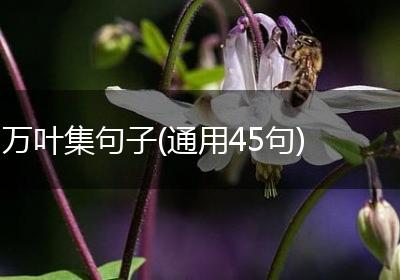 万叶集句子(通用45句)
