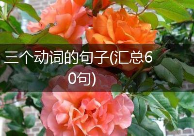 三个动词的句子(汇总60句)