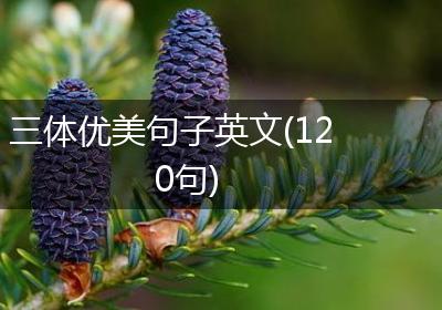 三体优美句子英文(120句)