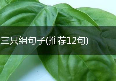 三只组句子(推荐12句)