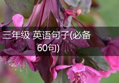 三年级 英语句子(必备60句)