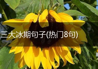 三大冰期句子(热门8句)