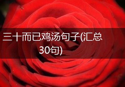 三十而已鸡汤句子(汇总30句)