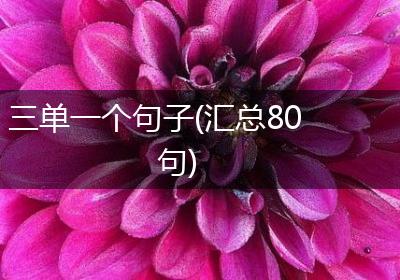 三单一个句子(汇总80句)