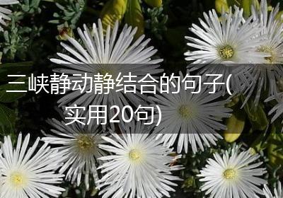 三峡静动静结合的句子(实用20句)